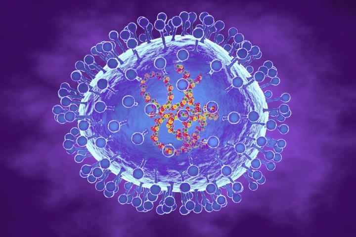 Ilustración de recurso de un metapneumovirus.