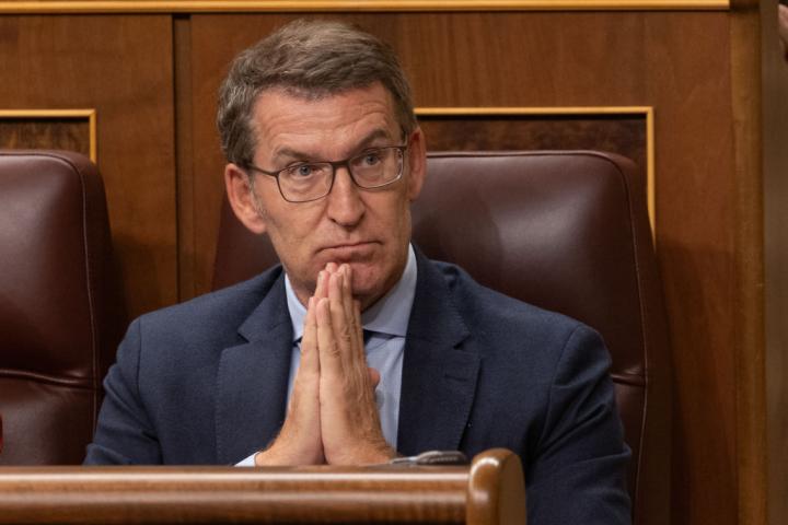 Alberto Núñez Feijóo, en el Congreso de los Diputados.