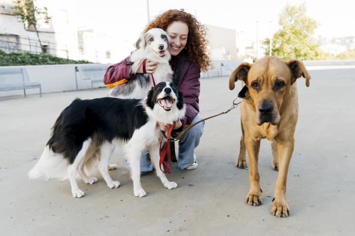 Una mujer, con tres perros