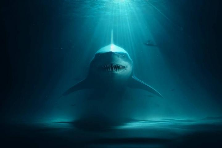 Recreación de un tiburón prehistórico