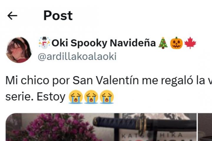 El tuit de @ardillakoalaoki