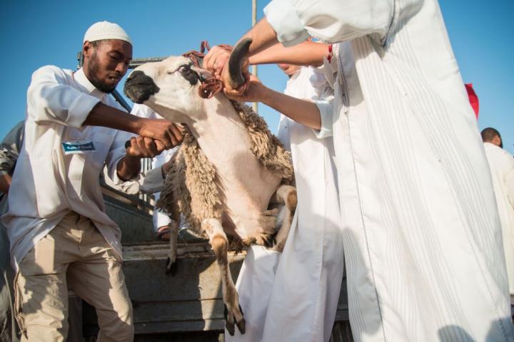 Celebración de la Fiesta del Sacrificio en Marruecos.