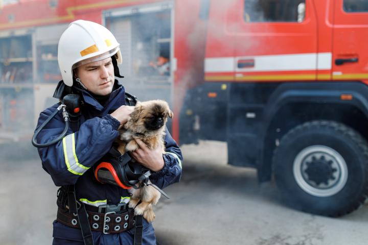 Imagen de archivo de un bombero rescatando a un perro.