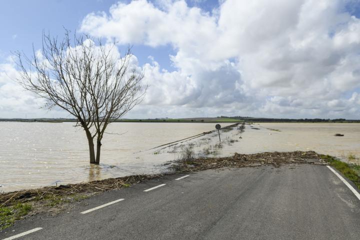 Un punto de la SE-9021 que ha tenido que ser cortada a causa de las inundaciones. Esta carretera se cruza con la AP-4 en el tramo en el que la autopista ha sido cortada y pasa cerca de la línea ferroviaria Madrid-Cádiz.