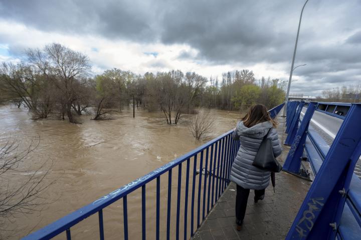Vista del río Jarama bajo la A2 a la altura de la localidad de San Fernando de Henares, este viernes.