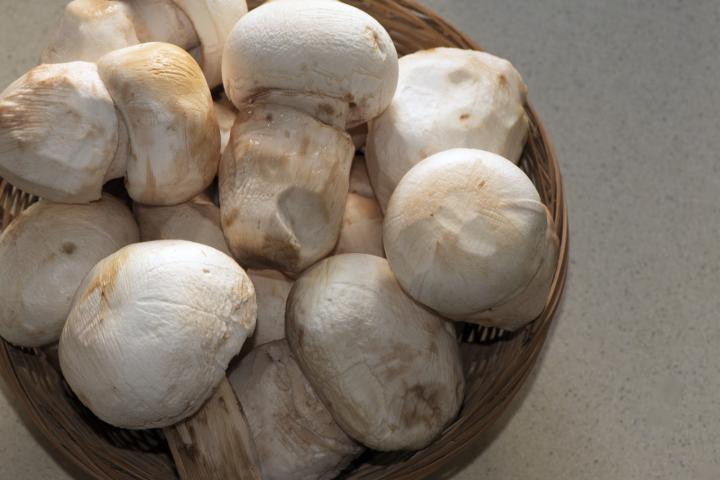 Un cesto lleno de gurumelos, en una imagen de archivo.