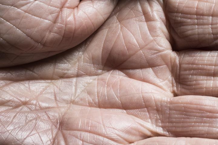 Arrugas de las manos.