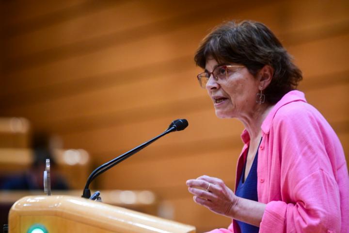 La senadora del BNG Carme da Silva, en una imagen de archivo en el Senado.