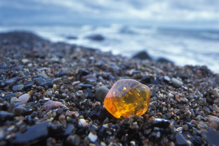 Ámbar, en una imagen de archivo.