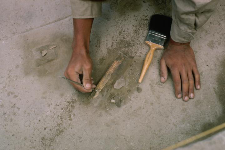 Foto de archivo de un arqueólogo haciendo una excavación.