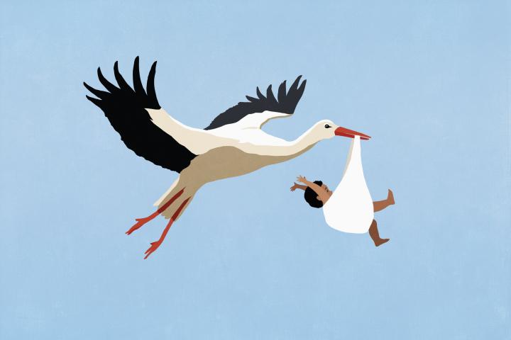 Ilustración de una cigüeña llevando un bebé