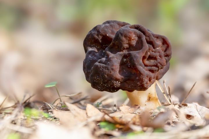 Imágen de la noticia