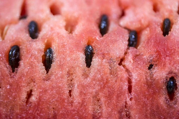 Plano detalle de una sandía.