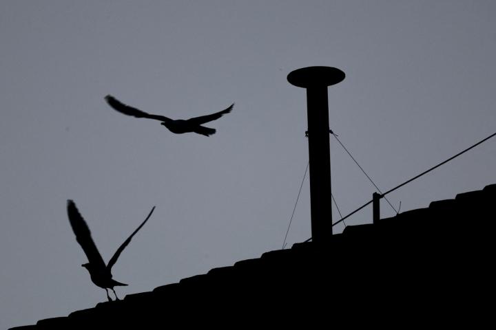 La chimenea instalada en el tejado de la Basílica de San Pedro de la que están pendientes millones de católicos.