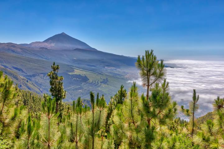El Teide visto desde el Mirador de Chipeque