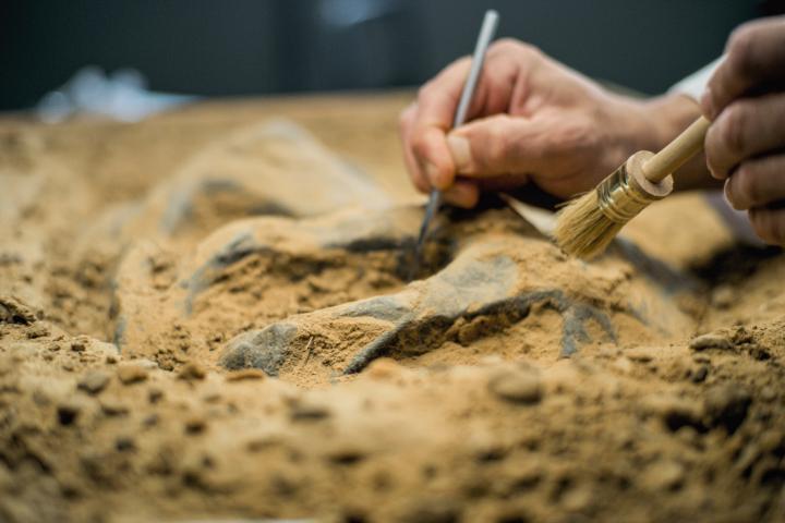 Imagen de archivo de trabajos arqueológicos.