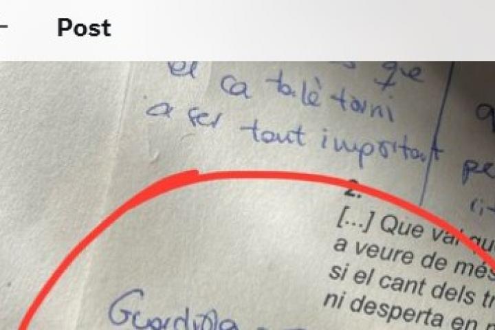 El tuit publicado por @lil_nuggeeet