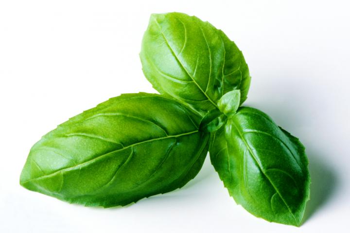 Albahaca, en una imagen de archivo