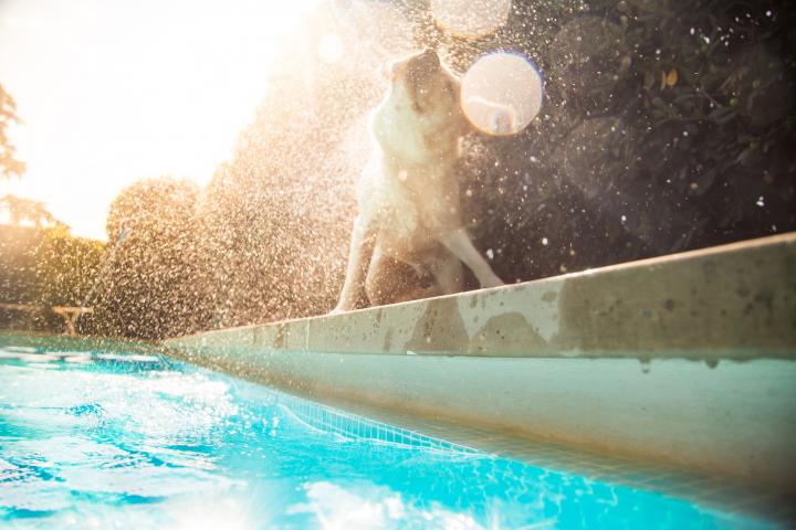 Una piscina, en una imagen de recurso