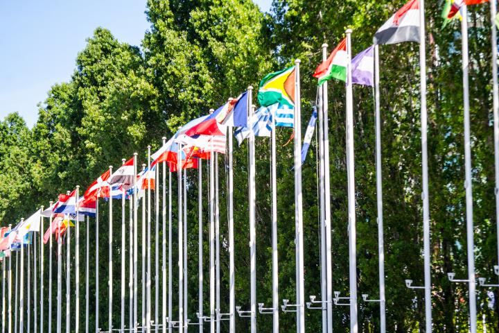 Banderas de varios países.