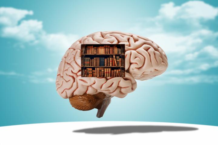 Un cerebro lleno de libros, en una imagen de archivo.