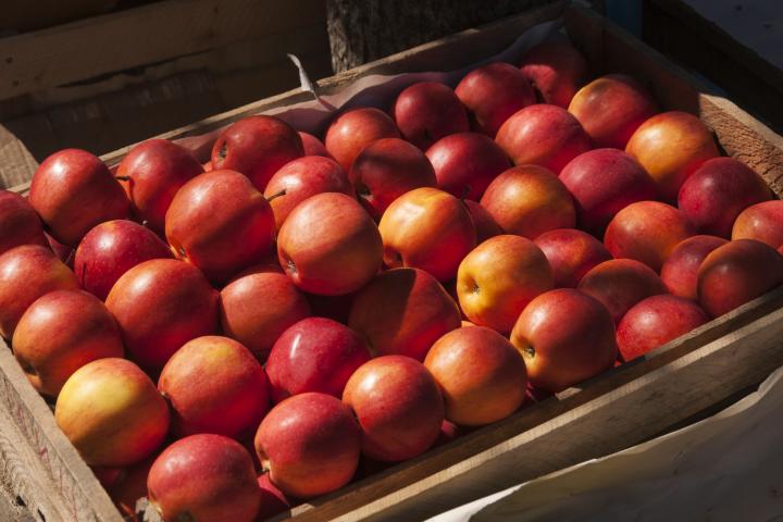 Imagen de archivo de una caja de fruta.