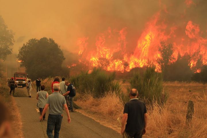 Incendio en Cualedro (Ourense), a 15 de agosto de 2025