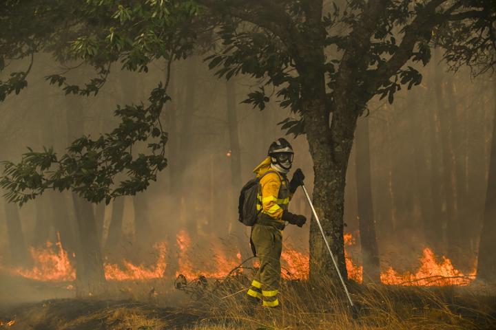 Un bombero forestal realiza labores de extinción en el incendio en A Gudiña (Ourense).