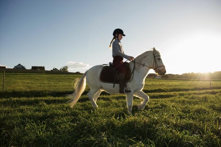 Una niña monta a caballo en un prado, una imagen que recuerda al vínculo entre menores y ponis como el que la familia danesa decidió donar al zoológico de Aalborg.