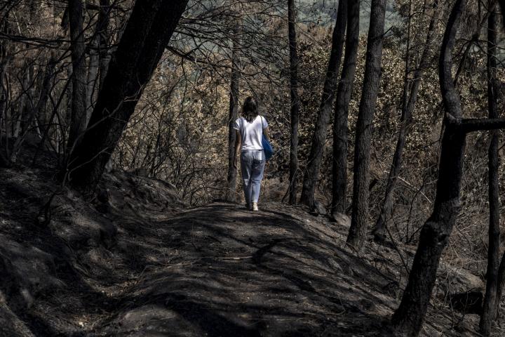 Las llamas han arrasado aldeas, explotaciones agrícolas y ganaderas y más de 90.000 hectáreas en Galicia