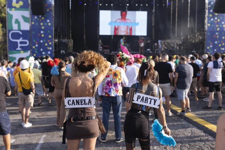 Parte del público durante la actuación de la banda El Diablo de Shanghai, este sábado en el festival Canela Party en el que se insta al público venir disfrazado.