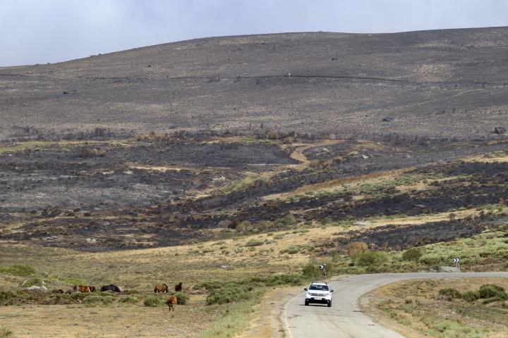 Vista de los estragos del incendio forestal de Porto (Zamora).