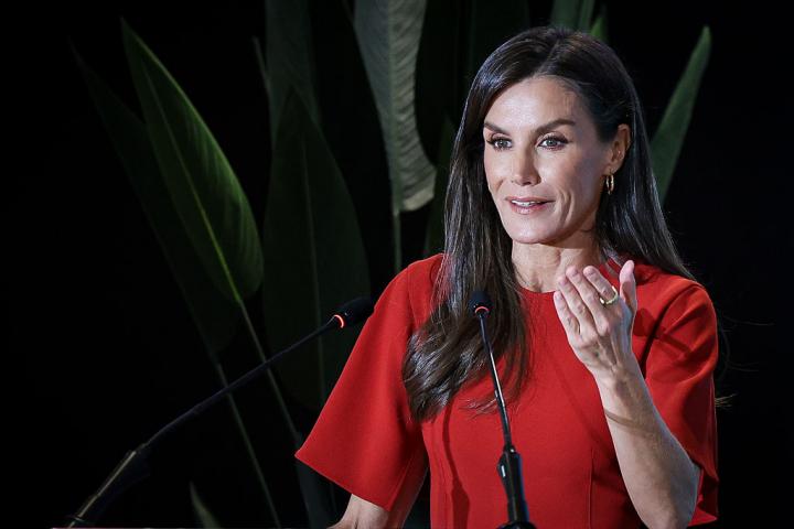 La reina Letizia en el acto institucional por el Dia Mundial de la Salud Mental.