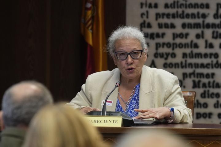 La empresaria Carmen Pano, durante su comparecencia en la comisión del 'caso Koldo' en el Senado.