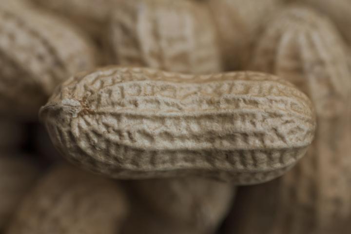 Detalle en primer plano de varios cacahuetes con cáscara, de color beige y textura rugosa.