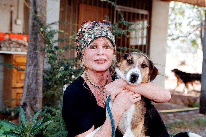 La actriz Brigitte Bardot, en una visita a un refugio animal en París en octubre de 2001.