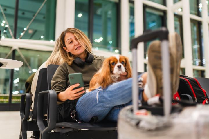 Mujer-espera-aeropuerto-perro