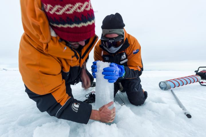 Dos investigadores perforan muestras del núcleo del hielo marino para recolectar extremófilos y estudiarlos.