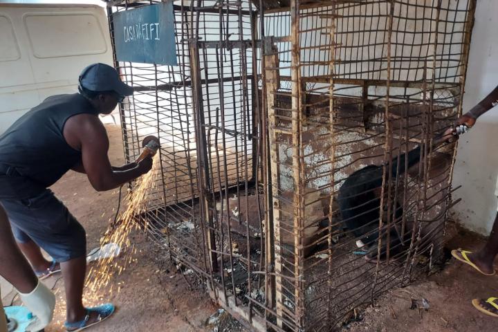 El momento en el que abrían la celda de Fifi.