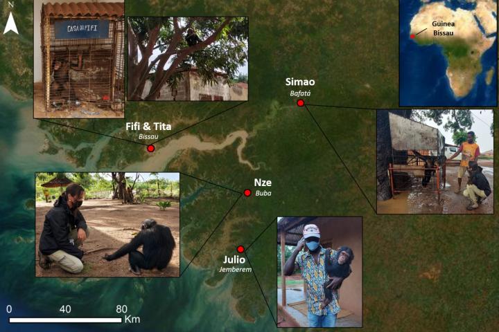 Mapa con los lugares en los que tomó muestras de los cinco chimpancés en Bisáu.