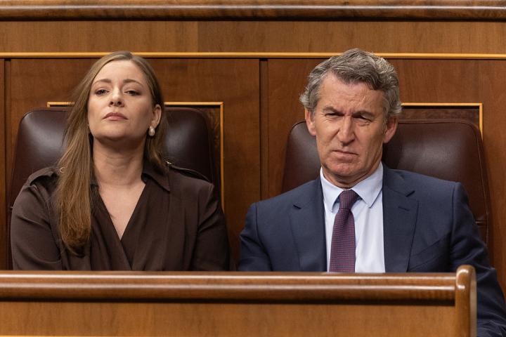 Núñez Feijóo gesticula en una sesión de control al Gobierno en el Congreso