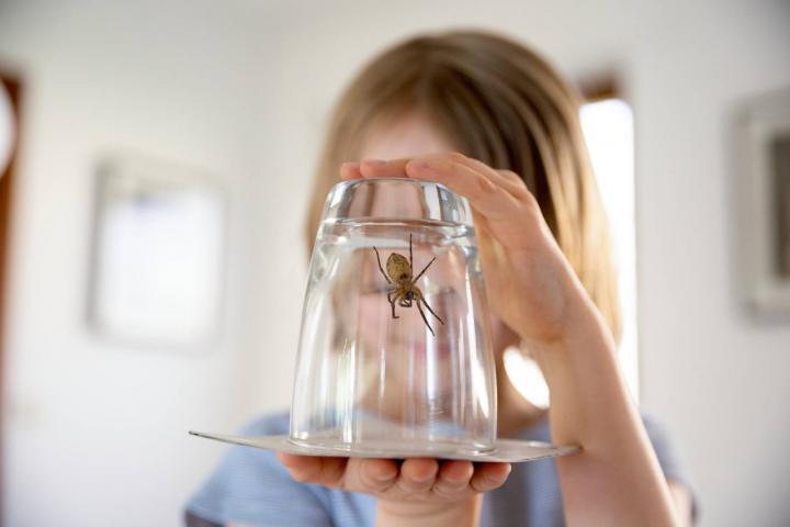 Niño sosteniendo una araña doméstica grande atrapada dentro de un vaso en un pasillo