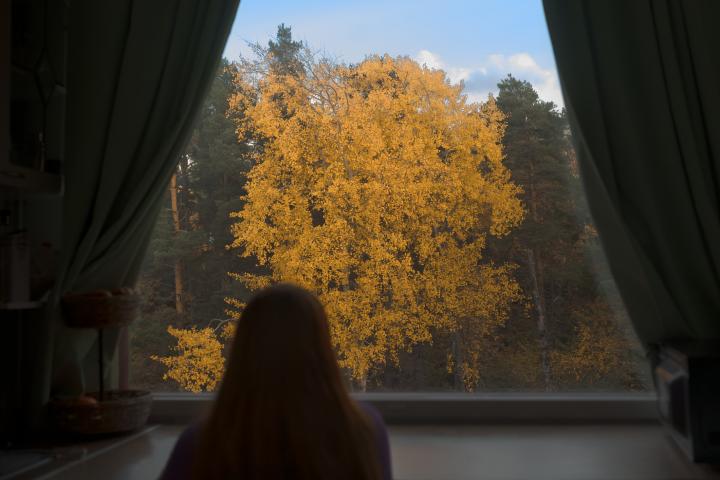 Una persona se asoma a una ventana y ve un paisaje de invierno.