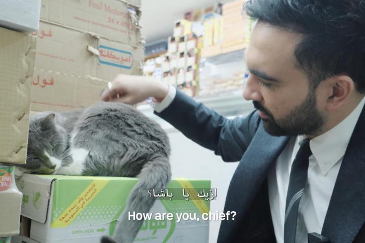 Zohran Mamdani acaricia a un gato en una tienda 24/7 de Nueva York.