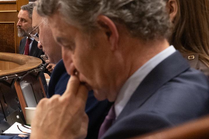 Núñez Feijóo, pensativo, con Abascal al fondo