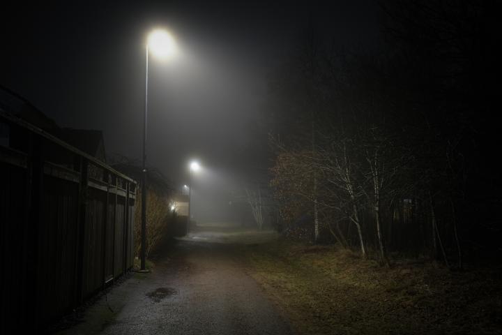 alt="alt="Farolas junto a un sendero entre la niebla al anochecer""