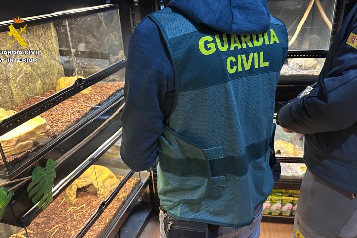 Intervienen unos 500 animales exóticos protegidos en un falso refugio en Burgohondo
