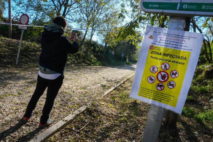 Aspecto de uno de los accesos al Parque Natural de Collserola, alertando de la presencia de la peste porcina hallada en jabalíes autóctonos de la zona.