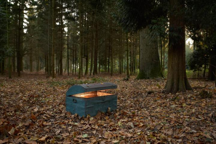 Tronco en el bosque con un resplandor en su interior