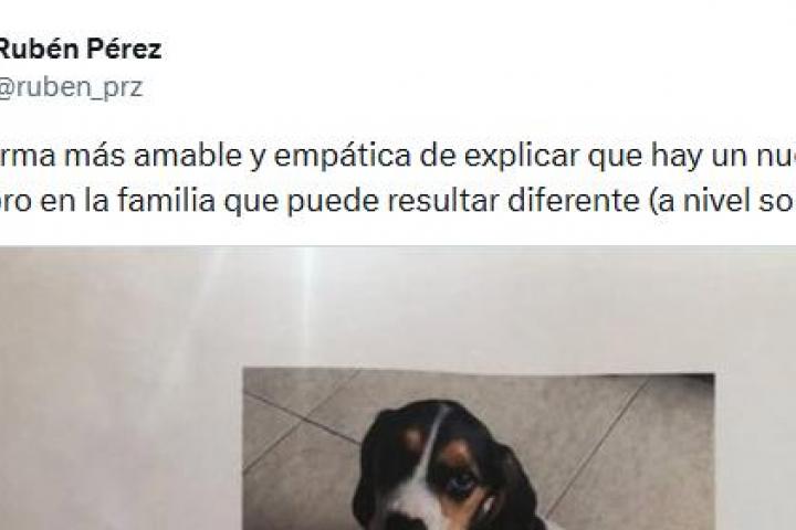 El cartel publicado por Rubén Pérez sobre la llegada de una mascota.